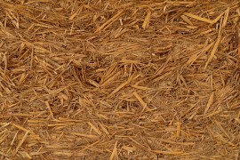 The A to Z of Biomass