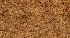 The A to Z of Biomass