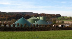 Biogas: an option for heating networks?