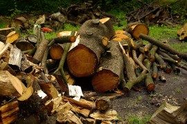 Biomass: France experiencing supply chain difficulties