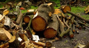 Biomass: France experiencing supply chain difficulties